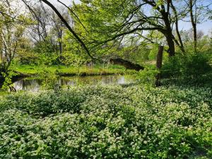 Annelies 07 - Daslook in het Flevopark
